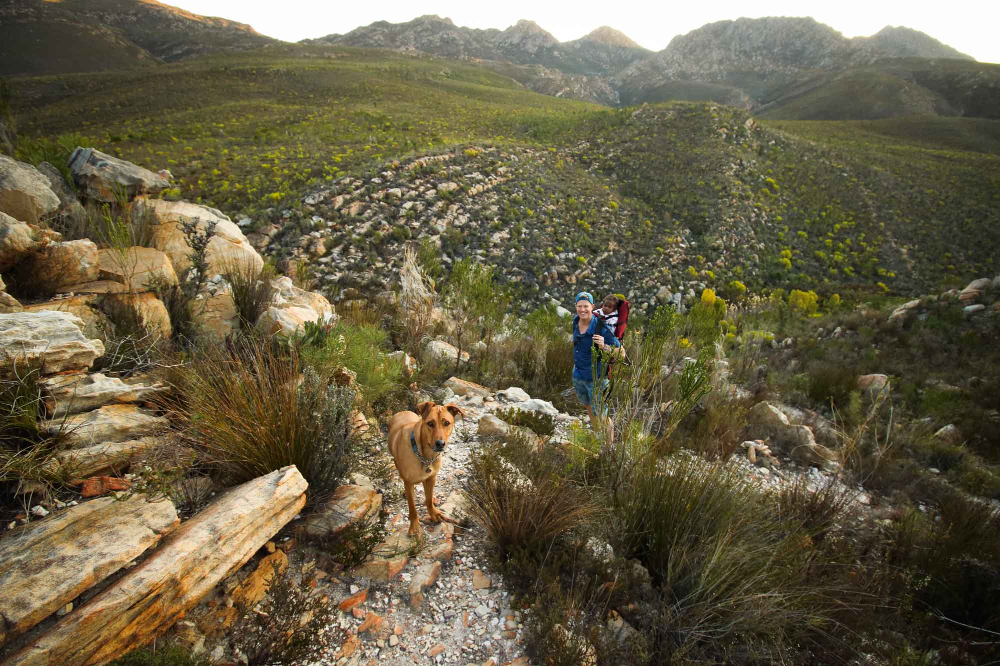 Hiking at Starry Starry Night