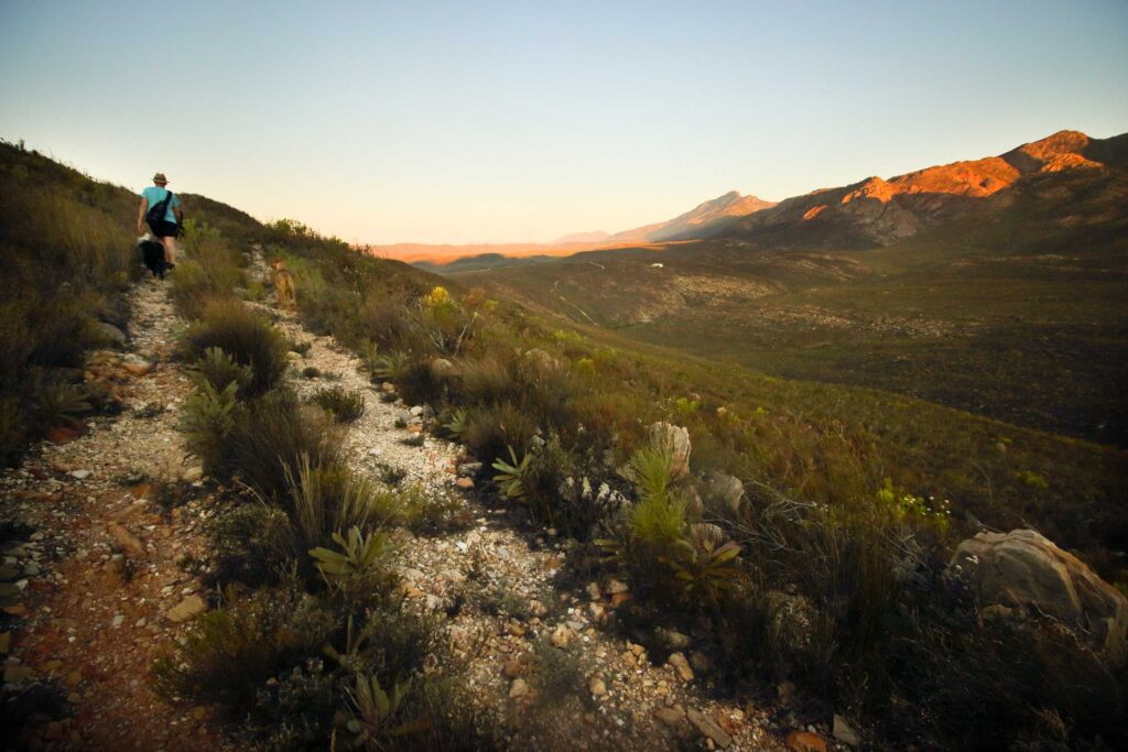 Hiking Sunset at Starry Starry Night