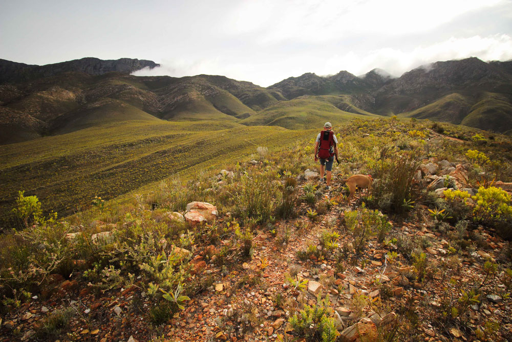 Starry Starry Night Mountain hiking trails